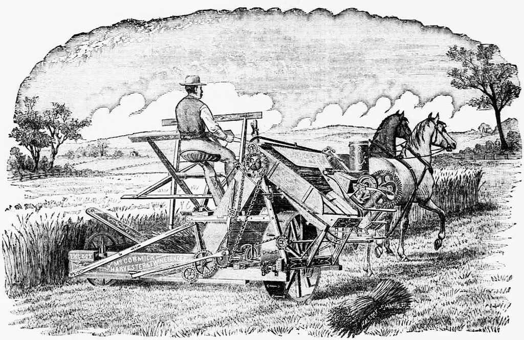 History of Pioneer Jobs