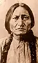 History of Sitting Bull Facts
